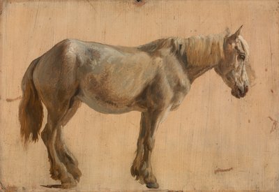 Study of a Grey Horse by Jacques Laurent Agasse